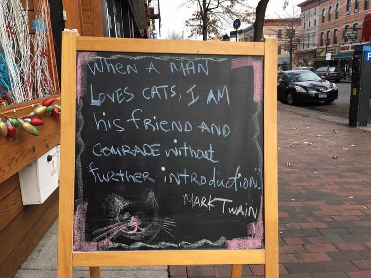 Photo Of The Day: Mark Twain Cat Theory