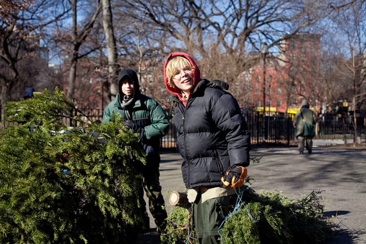 Treecycle your Holiday Tree (Sponsored)