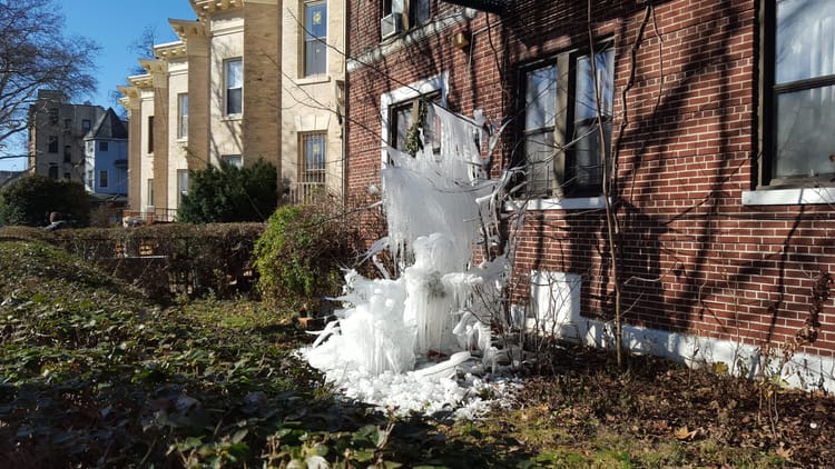 Photo Of The Day: Ice Sculpture