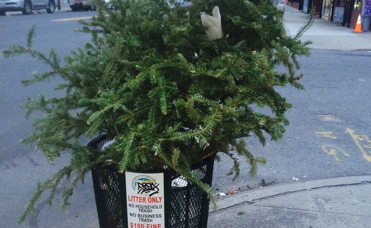 Morning Mug: “People Just Snap Out Of That Christmas Spirit Like It Was A Drunken Stupor.” — Jerry Seinfeld