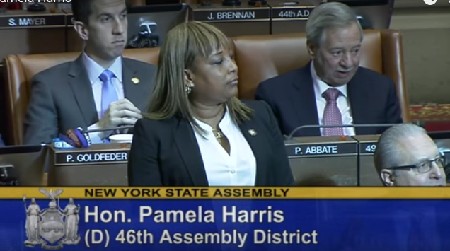 Watch: Newly Elected Assemblywoman Pam Harris Takes Seat In Albany, Vows To Fight For District