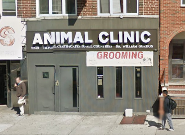 Bronx Man Charged In Shooting At B’Hurst Vet Clinic