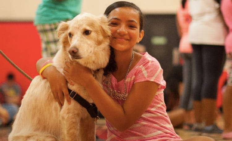 Paws And Young Hands Shake On It: Therapy Dog Training Class Comes To Neighborhood