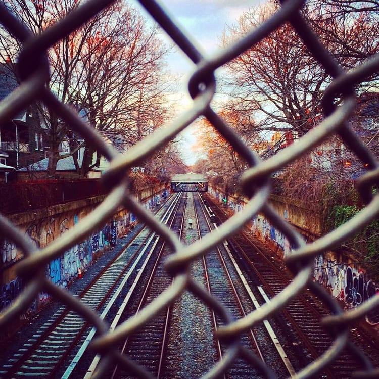 Photo Of The Day: Through The Fence