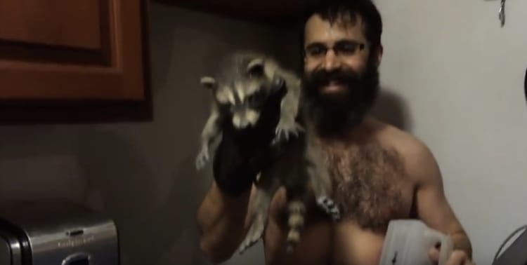 The New Gentrifiers? Rocky Raccoon Checks Into Many Rooms