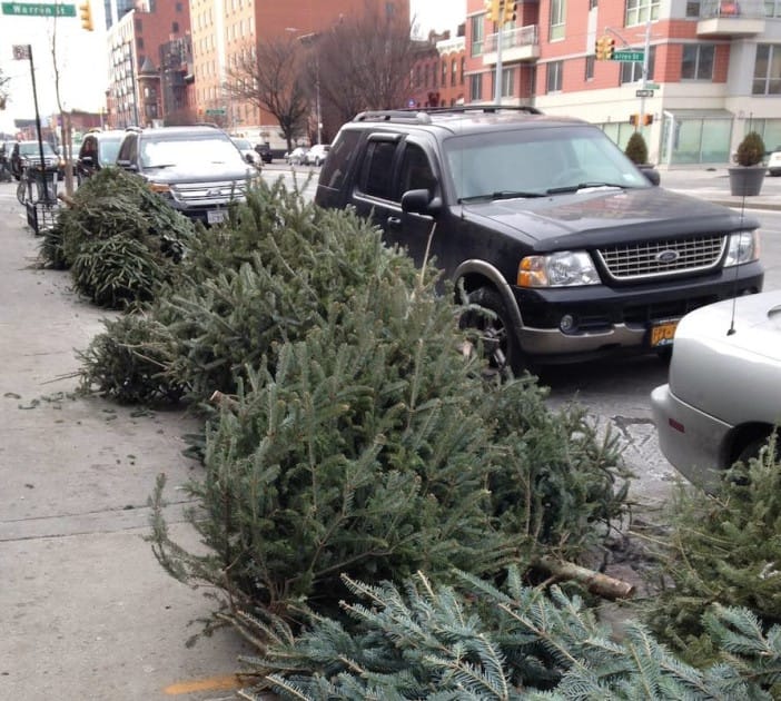 What A (Great) Drag! Treecycle On 4th Avenue This Sunday