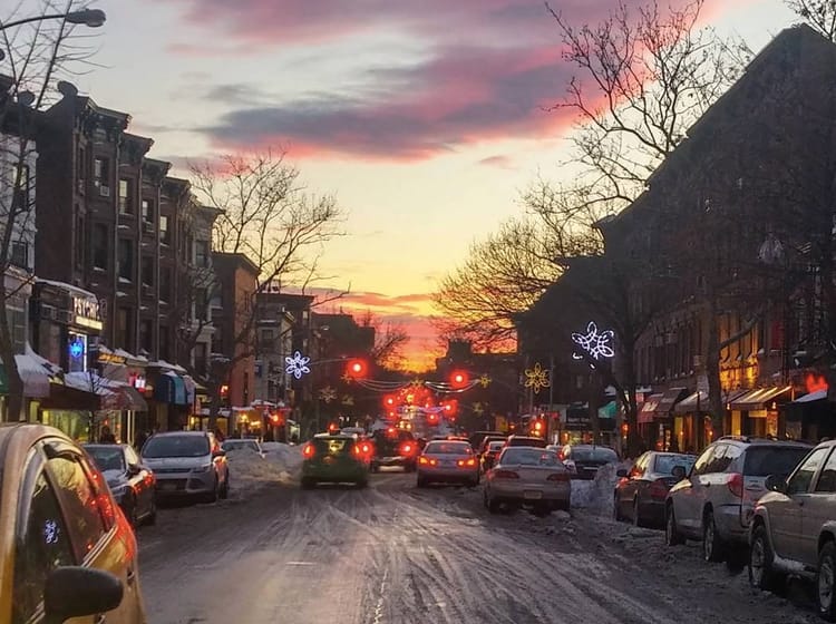 This Week In Park Slope: T.E.A.L. Is Here, Tuscan Gun Happiness, TreeCycling Triumph, And More