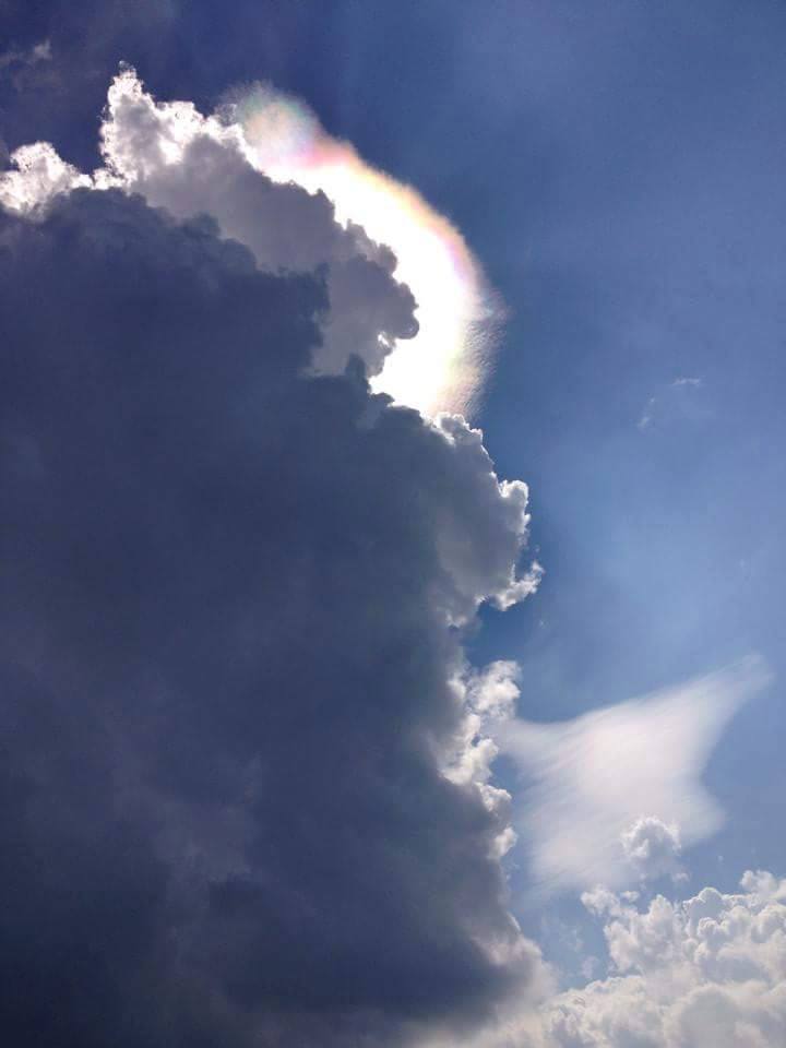 Morning Mug: “There’s A Bright Spot In Every Dark Cloud.” — Bruce Beresford