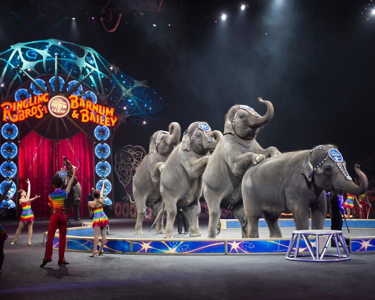 The Greatest (Rebranded) Show On Earth: Say Goodbye To The Ringling Elephants