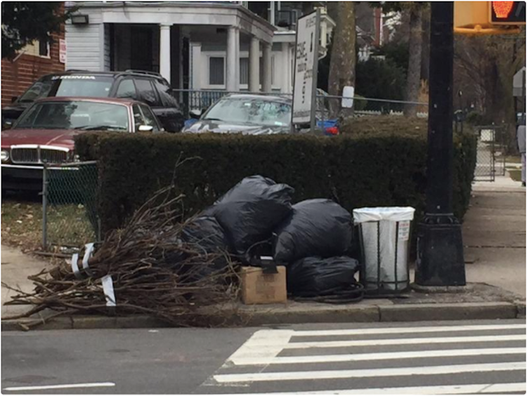 Diary Of Neglect: One Corner On Church Avenue