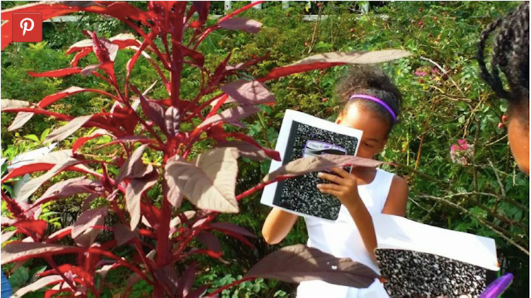 Friday Is The Fall, 2016 Application Deadline At Brooklyn Urban Garden Charter School