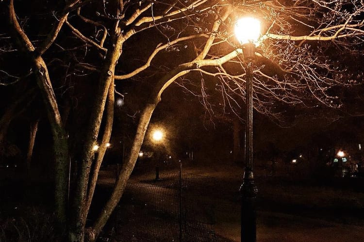 Admitting To Cops He Concocted Story, Teen Recants Claim He Was Groped In Prospect Park