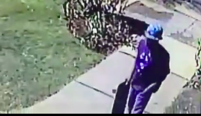 Have You Seen This Package Thief?