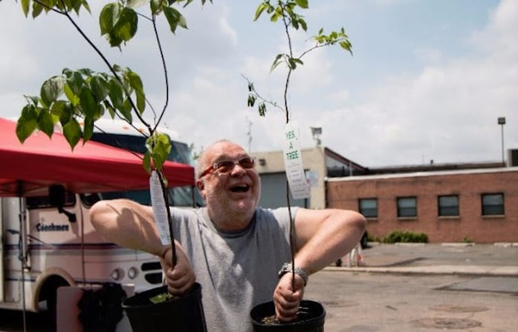 Save The Earth — Tree Giveaways Begin This Week!