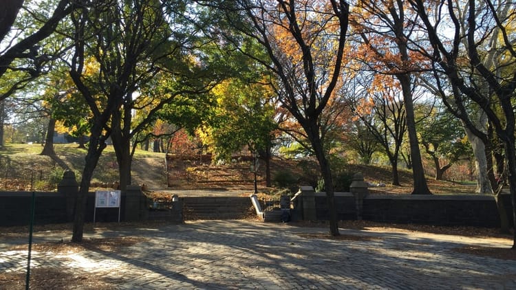 $5 Million Awarded To Fort Greene Park For Improvements