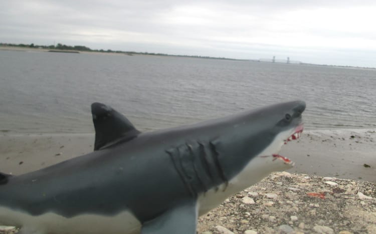 “Keep Hookers off the Pier — No Fishing!”