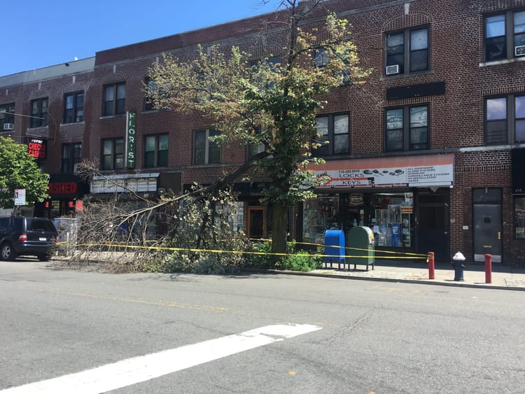 Trees & Branches Down After Brief But Fierce Storm On Monday [Video]