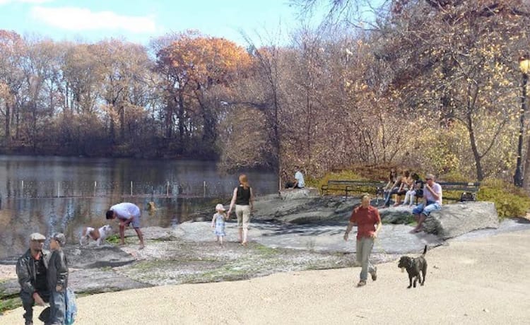 Prospect Park Pups To Make A Safer Splash