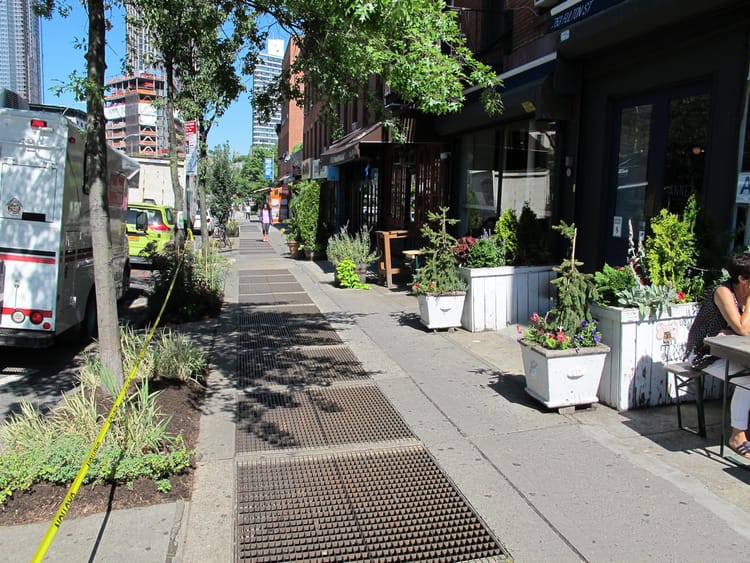 2016 Greenest Block In Brooklyn, Commercial Category Winner: Fort Greene