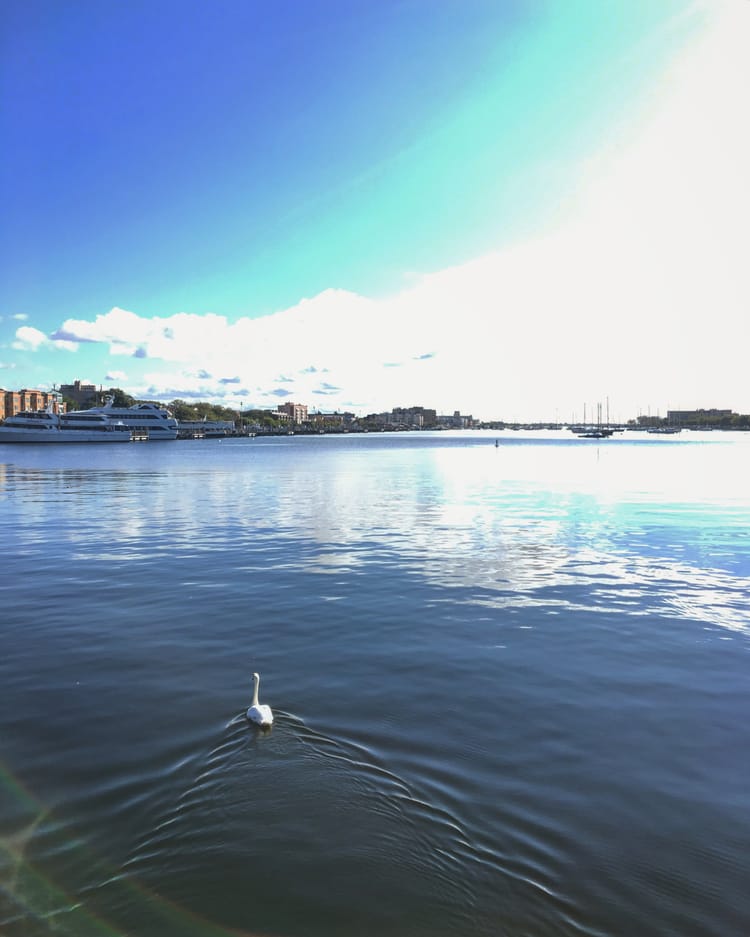 Morning Mug: “When You’ve Seen Beyond Yourself, Then You May Find Peace Of Mind Is Waiting There.”– George Harrison