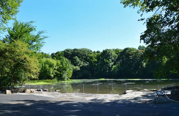 Pups Ready To Make A Splash As Prospect Park’s Dog Beach Re-Opens Ahead Of Schedule