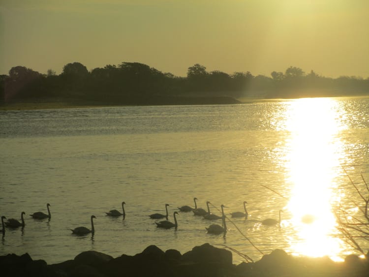 Morning Mug: “You Can’t Cross The Sea Merely By Standing And Staring At The Water.” — Rabindranath Tagore