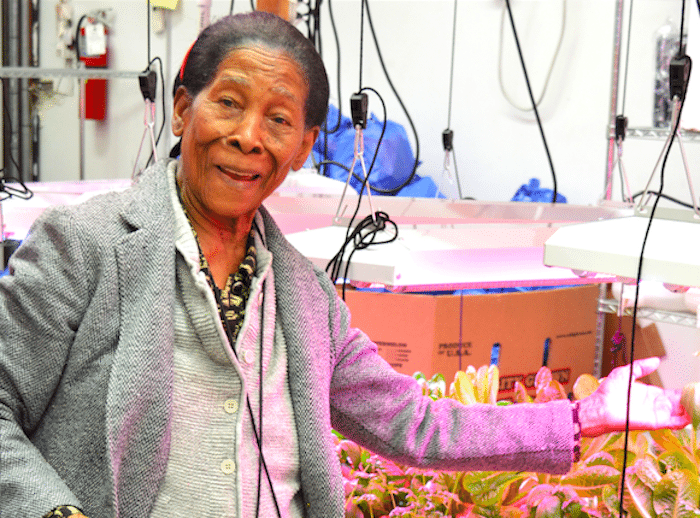 Volunteer Spotlight: 97-Year-Old Neila Pierre Warms Hearts At CAMBA Food Pantry