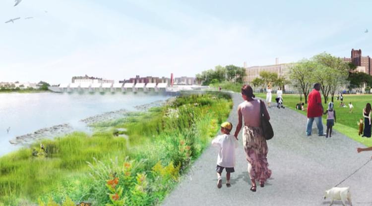 VIDEO: Coney Island Creek Climate Change Study Proposes Pedestrian Path For Kaiser Park