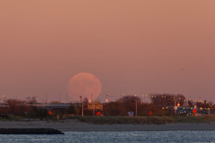 Morning Mug: “There Are Nights When The Wolves Are Silent And Only The Moon Howls.” — George Carlin