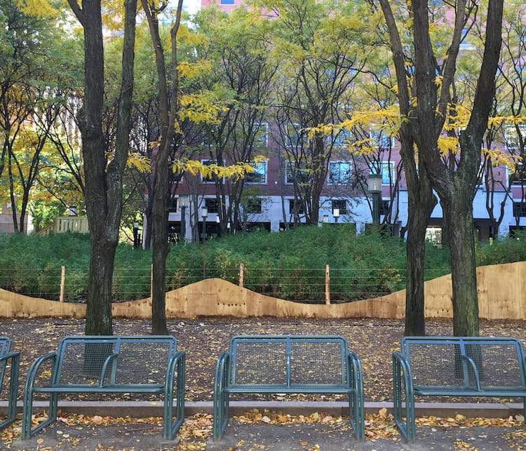 Adopt A Tree From Spencer Finch’s Public Art Installation