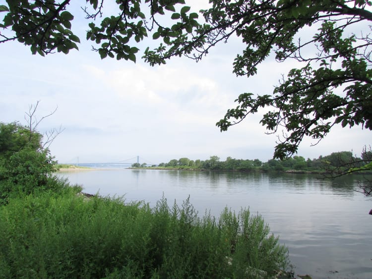 Locals Want Coney Island Creek To Be Designated A Superfund Site