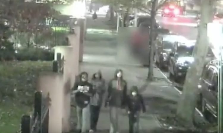 8-Year-Old And Trio Of Tween Toughs Punch And Rob Victim Near Fort Greene Park, Cops Say