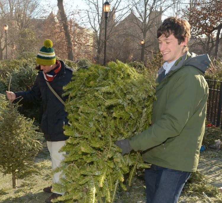 This Weekend: Treecycle your Holiday Tree Throughout The Borough