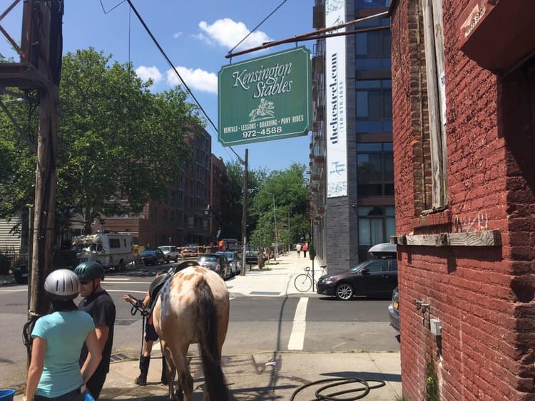 BP Adams Urges Developer To Help Preserve Kensington Stables