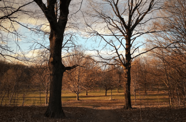 Prospect Park Turns 150!