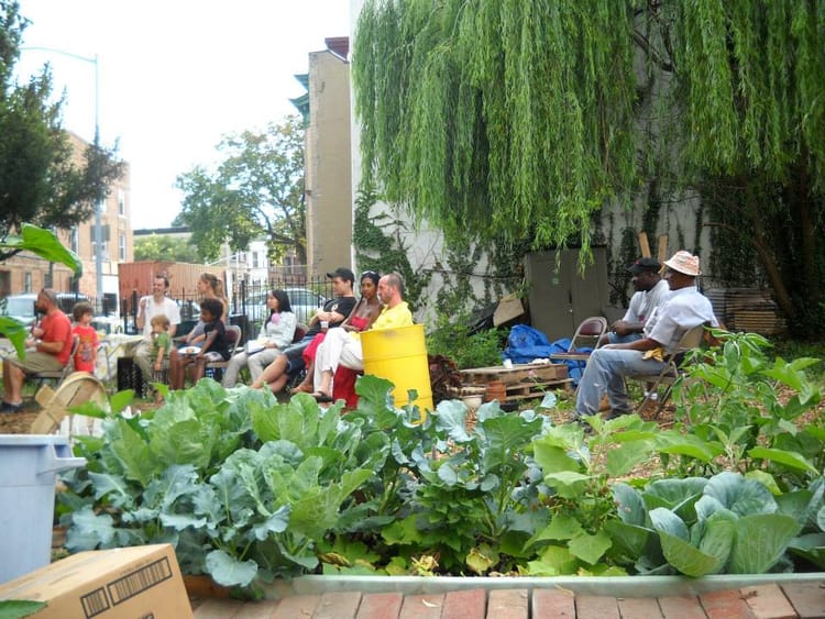 Maple Street Community Garden Growing Toward Official Green Space