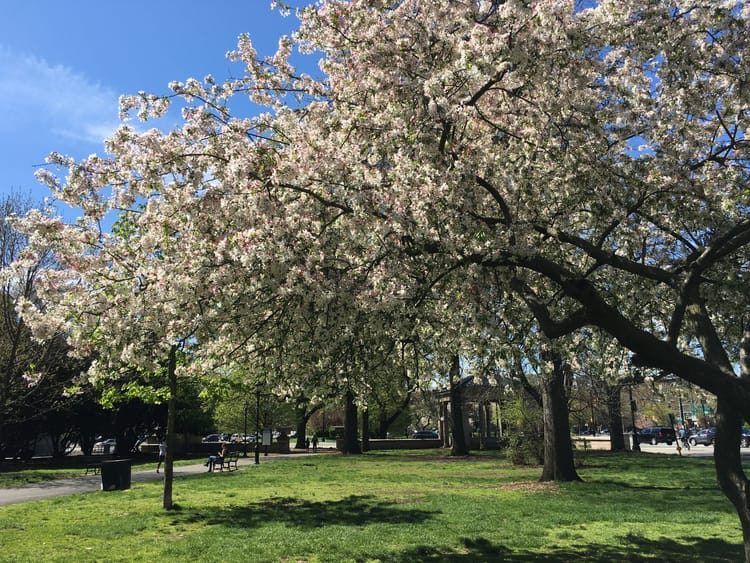 The Down-Low: Bury Your Secrets At Green-Wood Cemetery & Other Stories You Shouldn’t Miss