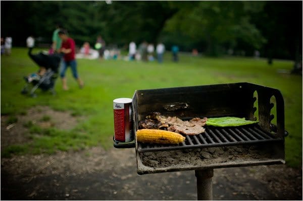 Prospect Park BBQ Guide