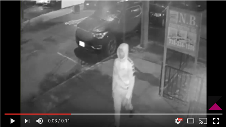 Five Women Brutally Robbed in Southern Brooklyn In Late July