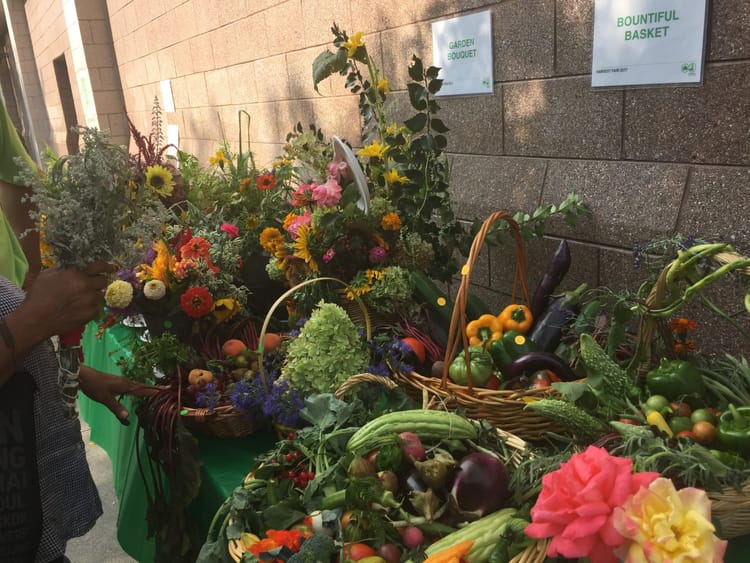 Harvest Fair: Community Garden Edition