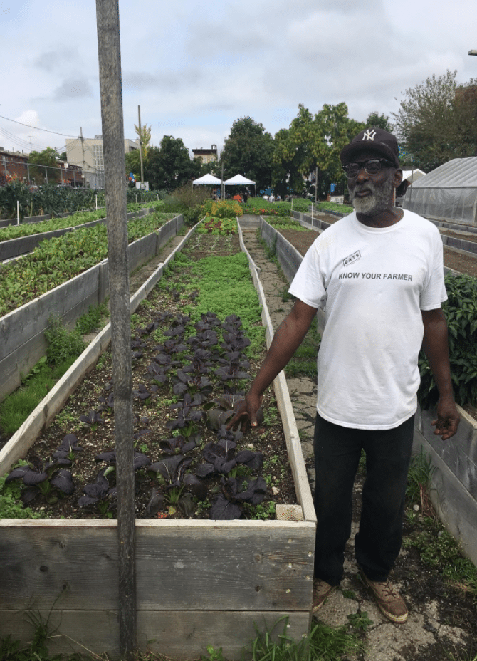 Fall Harvest At Brownsville’s 20,000 Square Foot Farm