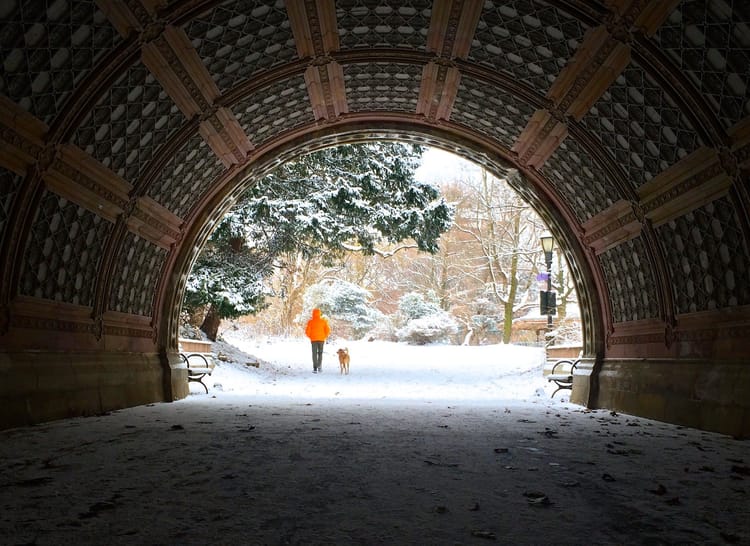 10 Brooklyn shops to buy Holiday gifts: GIFTS TO SUPPORT A CAUSE (membership, non-profit)