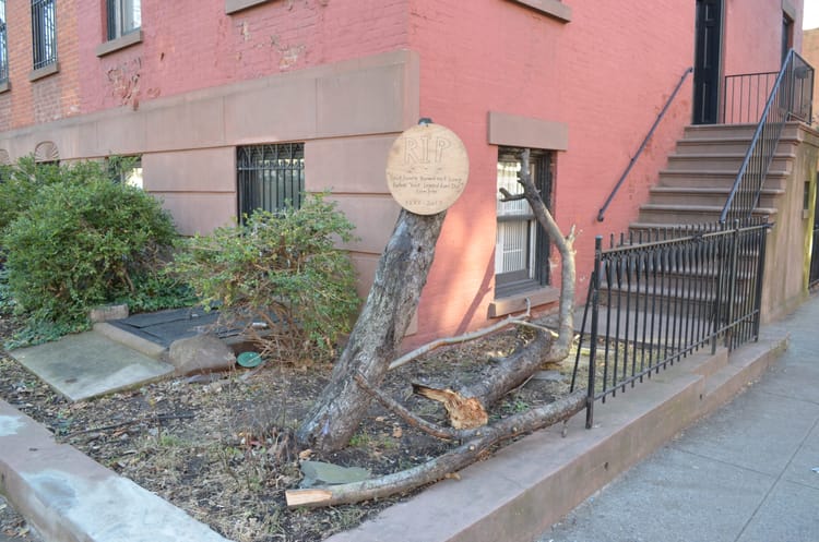 This Week In BKLYNER: “New Deal” For NYC, New Apple Store, Crumbling MTA Station & More