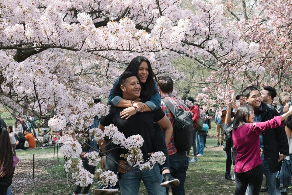 Brooklyn Celebrates Spring—And The Selfie—At Sakura Matsuri