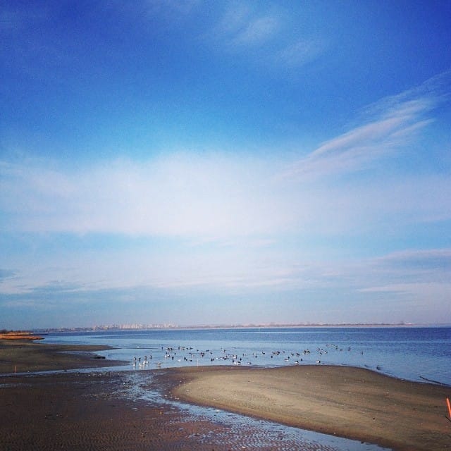 Help Clean Up The Floyd Bennett Field Coastline This Saturday