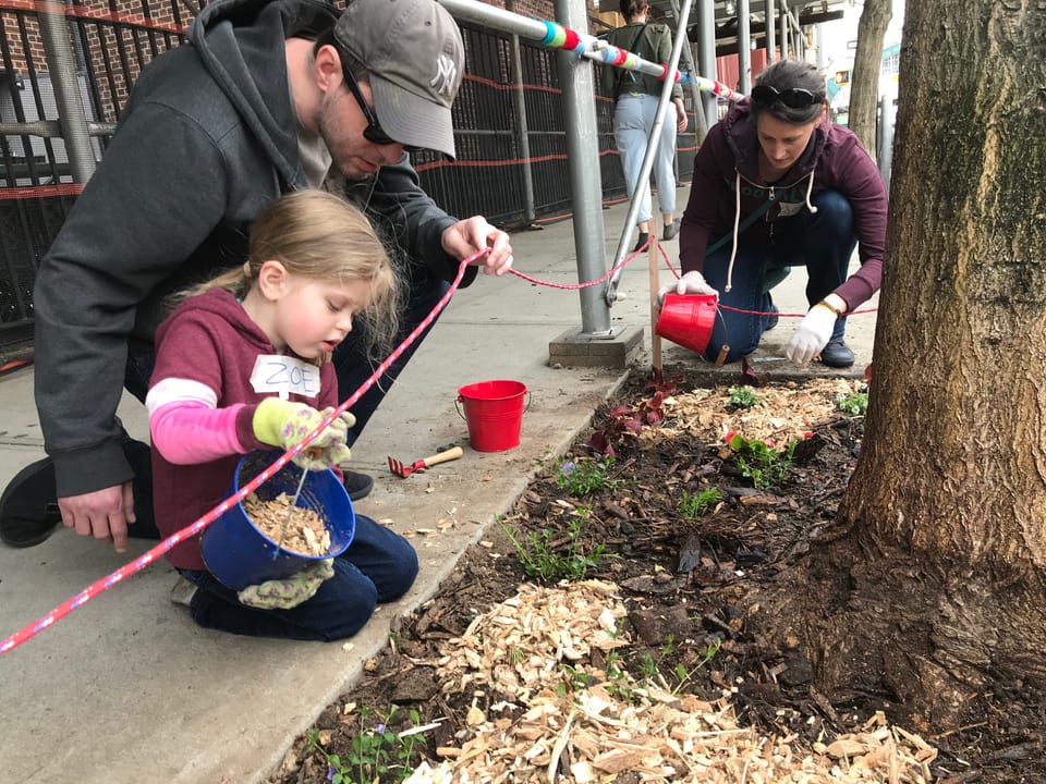 Gowanus Tree Network: Keeping Street Trees Healthy