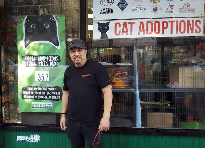 For The Love Of Cats: NYC Pet Employee Trail Blazes Cat Adoption Program