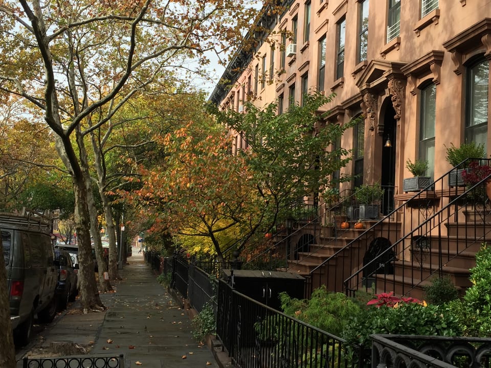 Bursting Park Slope’s Progressive Bubble – Opinion