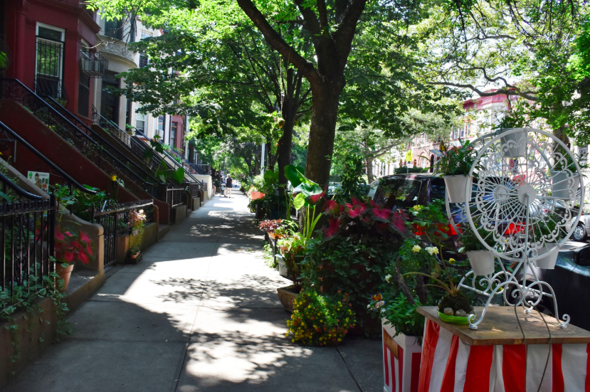 Crown Heights Block Wins Greenest In Brooklyn