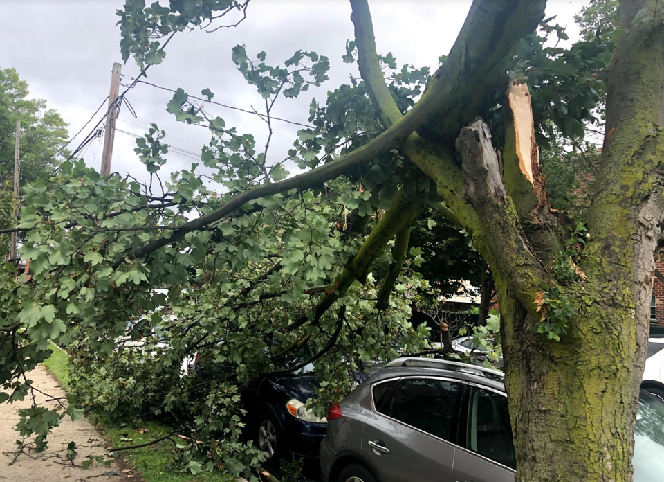 Was Brooklyn Prepared For Tropical Storm Isaias?